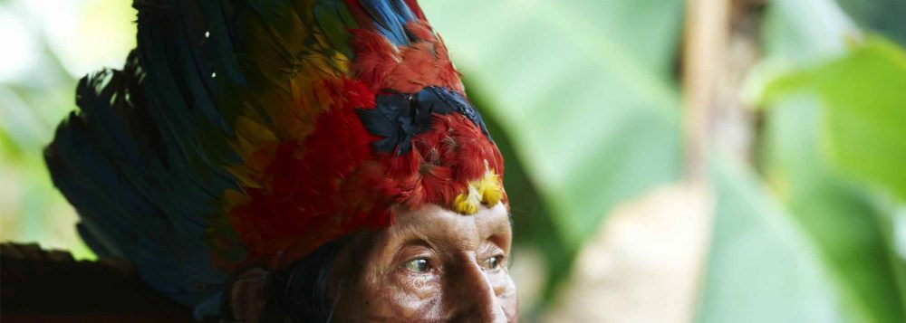 ayahuasca iowaska indígena ICEERS