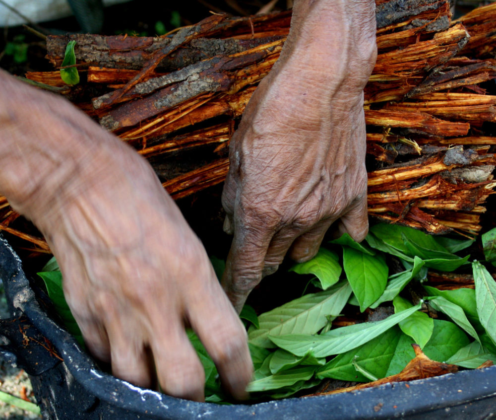 ayahuasca legal status sobre nosotros organización sin ánimo de lucro ICEERS