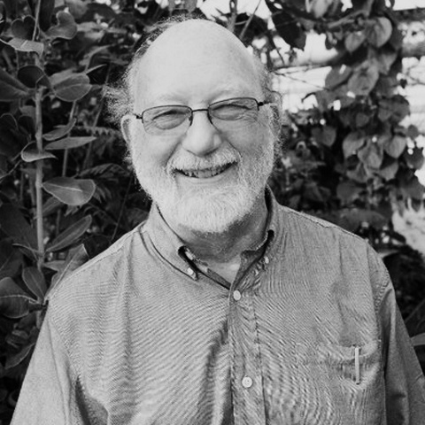 Dennis McKenna ICEERS