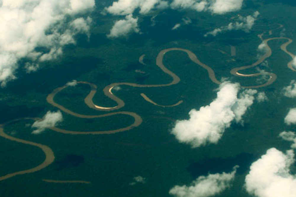 Fires are destroying the Amazon river jungle rainforest ICEERS