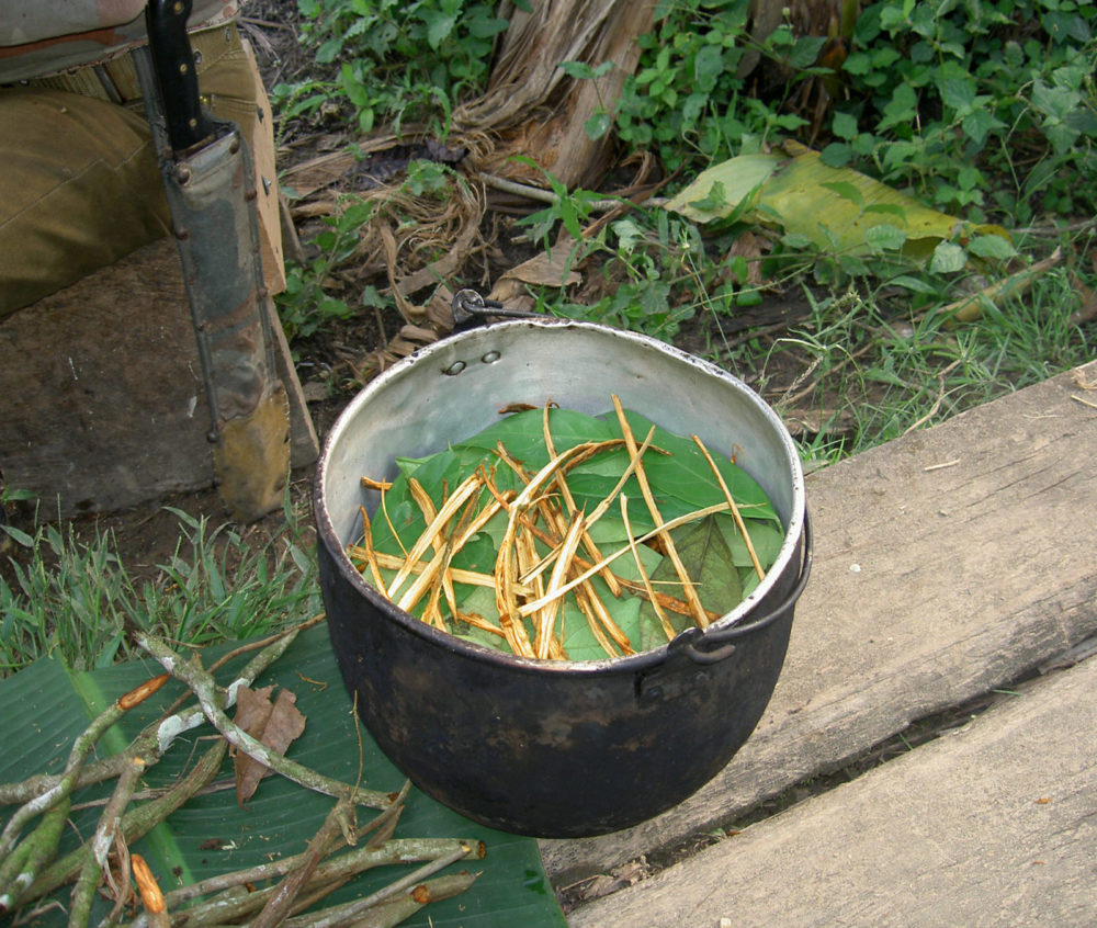 ayahuasca iowaska practices cooking jungle ICEERS