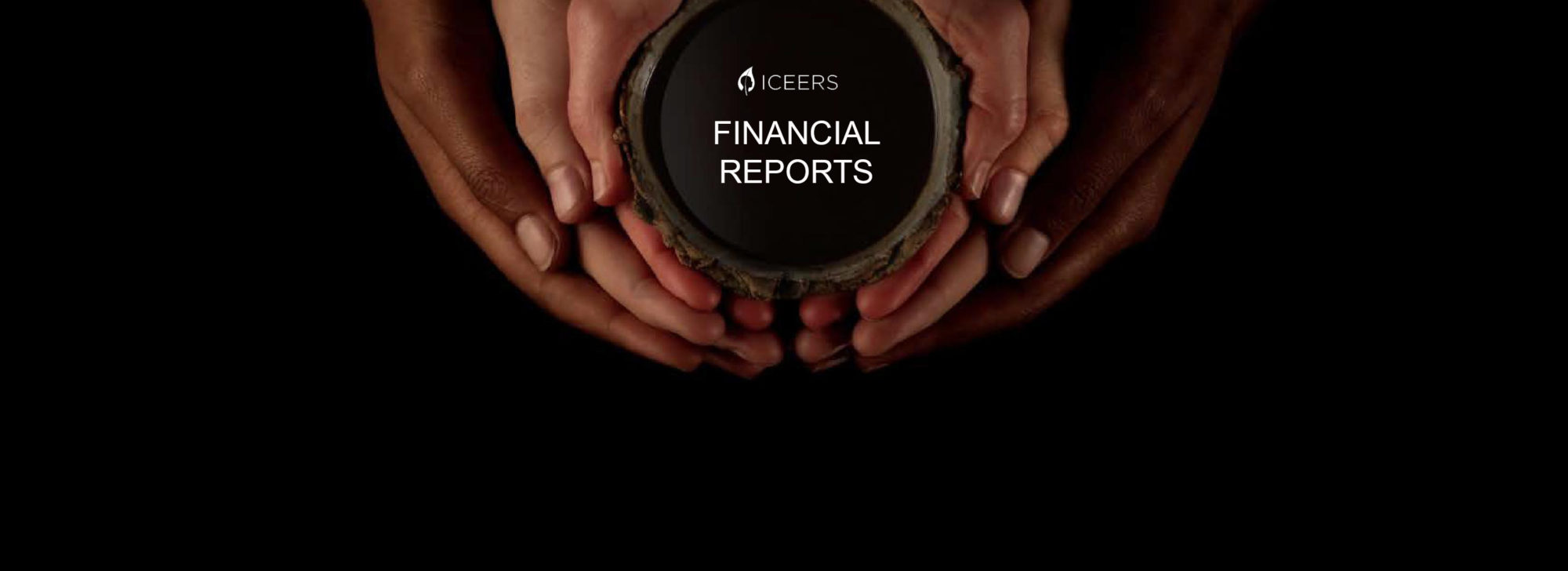 ICEERS Financial Reports