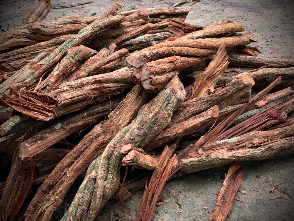 Ayahuasca Perú ICEERS