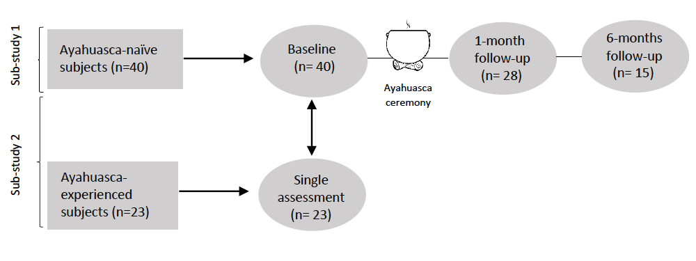 primera toma de ayahuasca