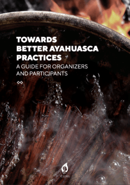 Towards Better Ayahuasca Practices