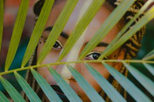 ayahuasca enhancement visual imagery study ICEERS imágenes