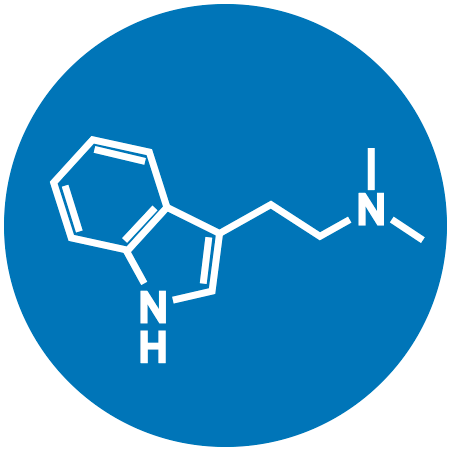 DMT - ayahuasca Pharmacology