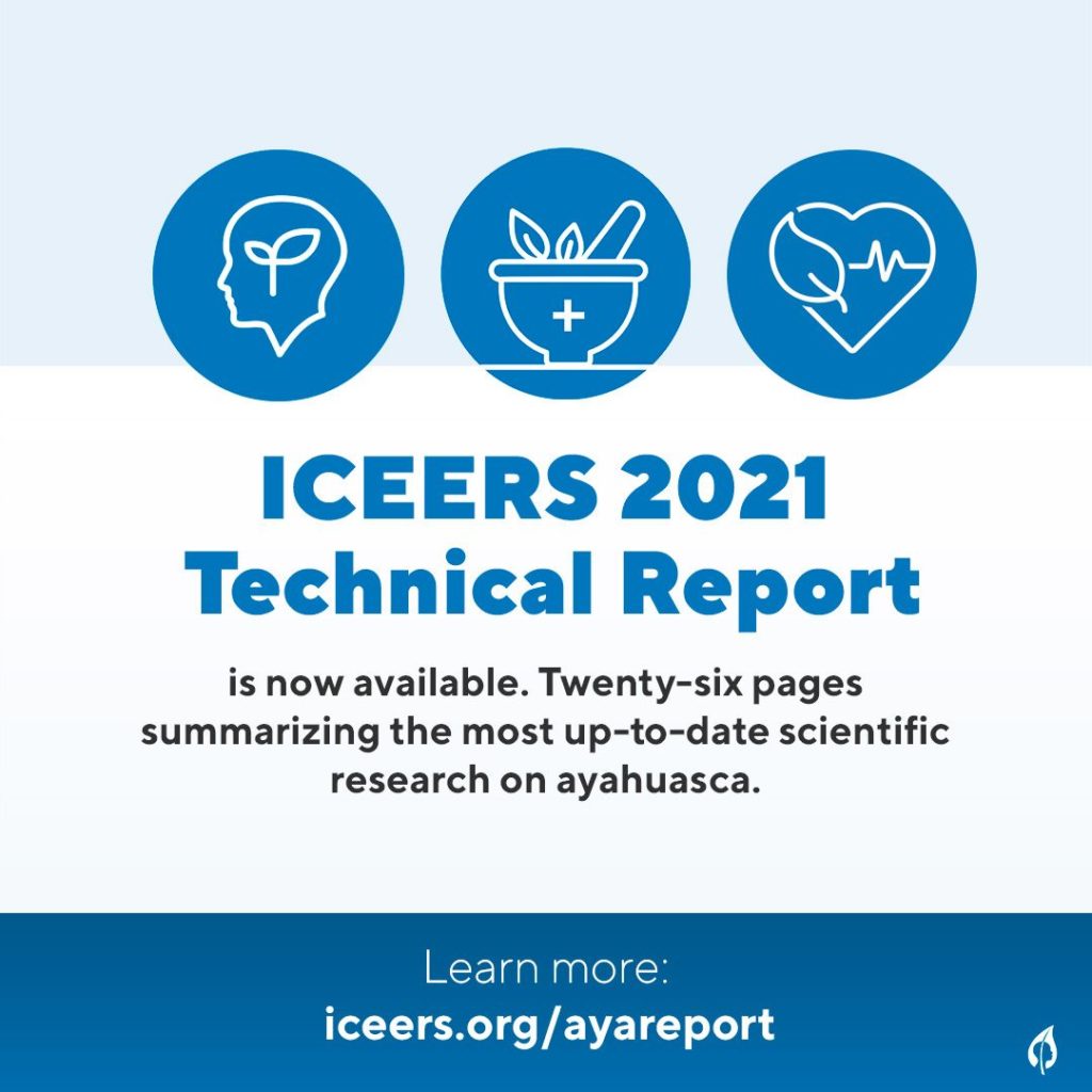 2021 Ayahuasca Technical Report