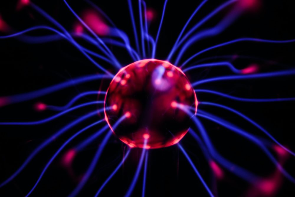 ayahuasca regenerar células cerebro
