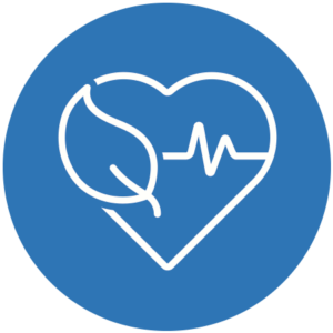 ayahuasca safety profile