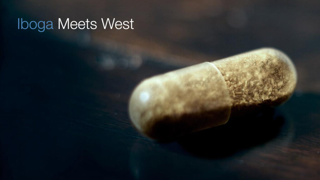 Iboga meets West. Presentación de José Carlos Bouso en Horizons PBC.