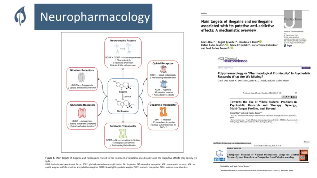 Neurofarmacología de la ibogaína. Presentación de José Carlos Bouso en Horizons PBC.