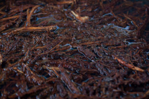 ayahuasca adverse effects mental health