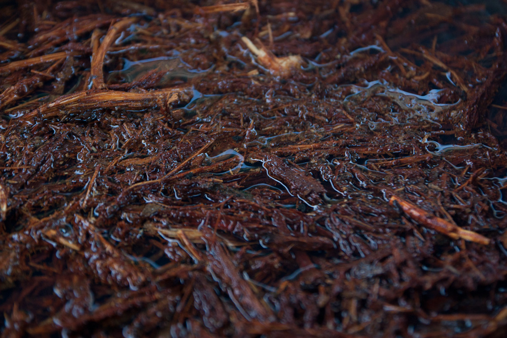 ayahuasca adverse effects mental health