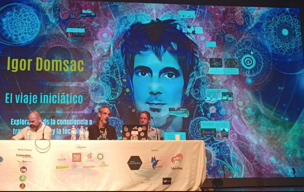 Fuertedélica 2025 Igor Domsac ICEERS