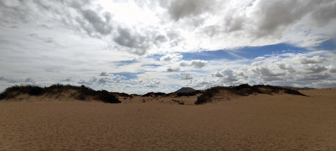 Fuerteventura epicentro movimiento psicodélico