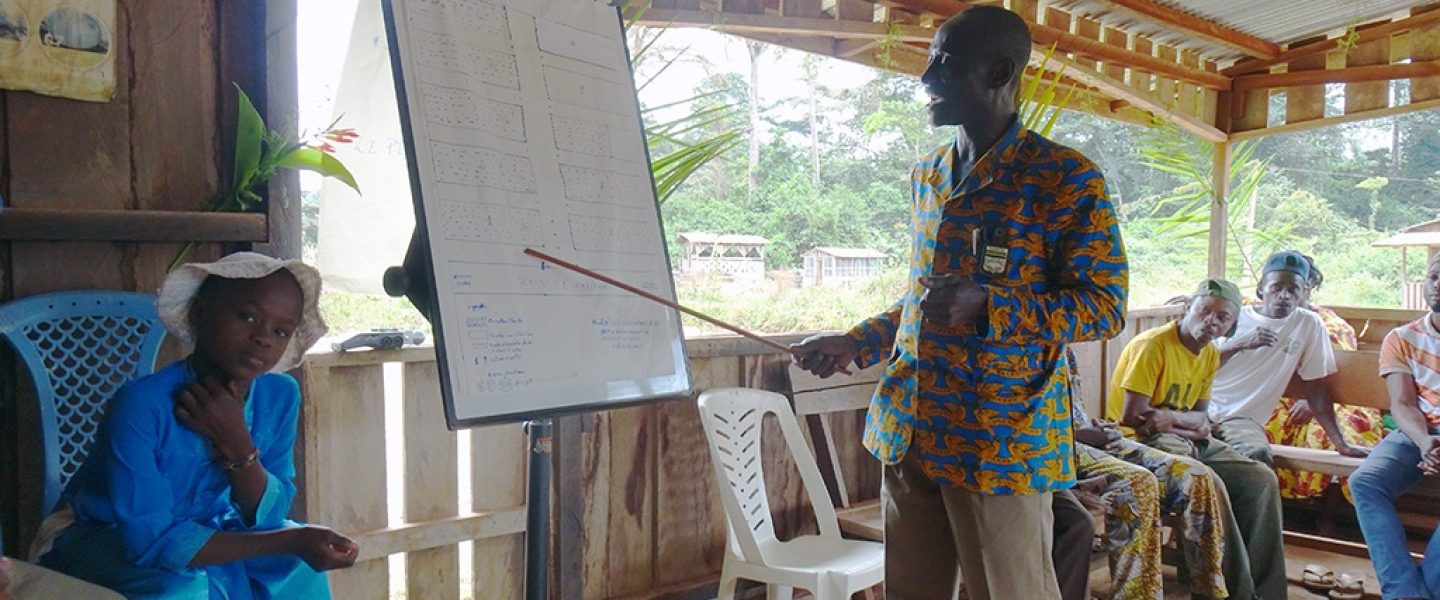 iboga ibogaine rapport