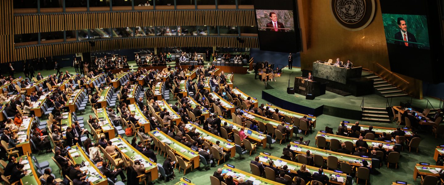 UNGASS drug policy traditional plant medicines