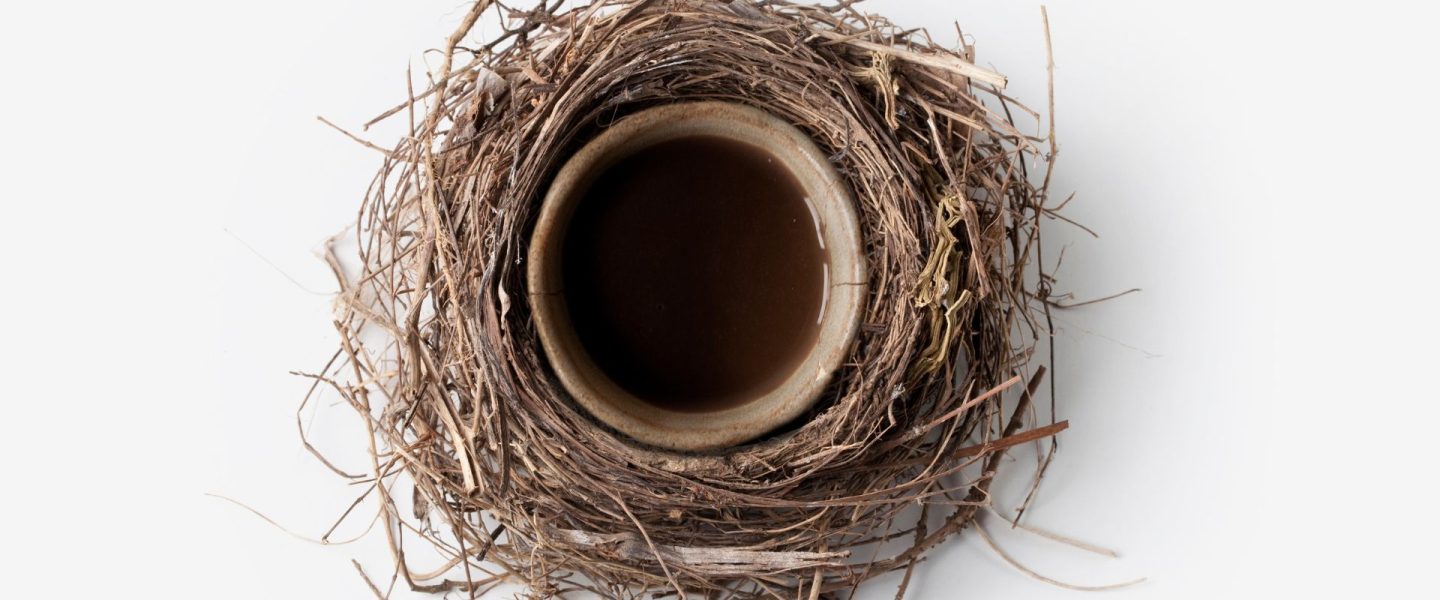 ayahuasca told me webinar ICEERS Academy AyaSafety Jerónimo Mazarrasa