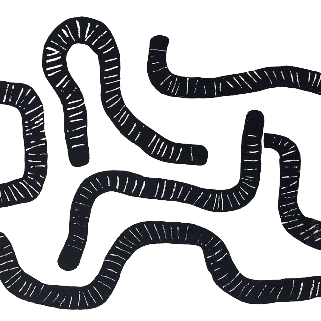 integración ayahuasca integration