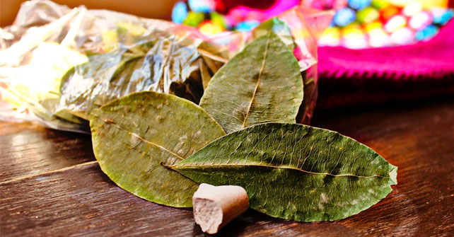 revisión hoja de coca ONU ICEERS OMS